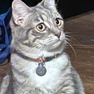 Meet your Posher, Brian